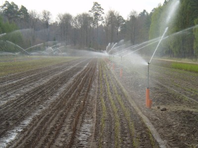 Instalacja nawadniająca w której ciśnienie wody jest utrzymywane zestawem pompowym firmy BELSAN